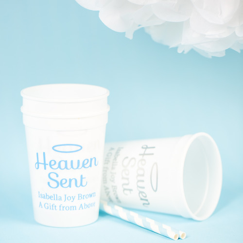 Heaven Sent Baby Shower Theme Decorations & Party Favors 3